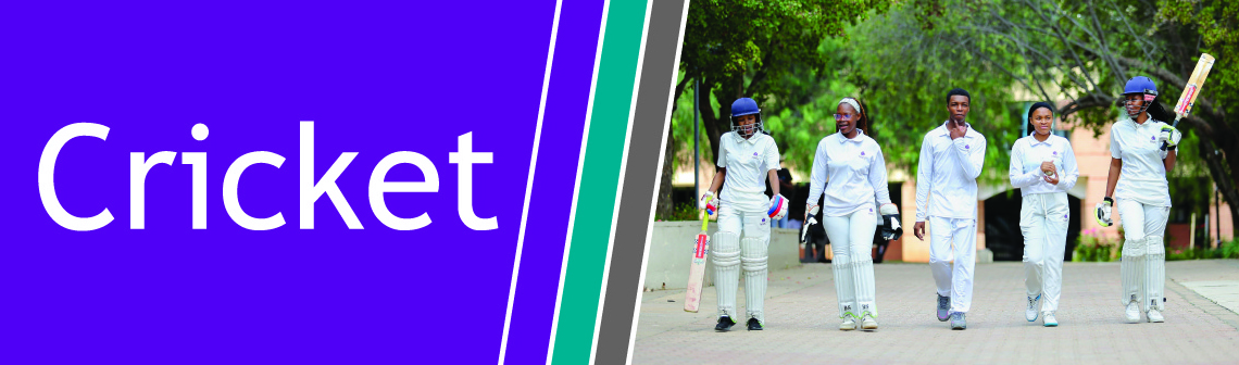Cricket